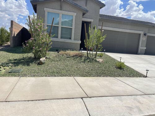 Front yard of an Arizona home
