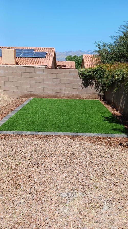 Backyard green space