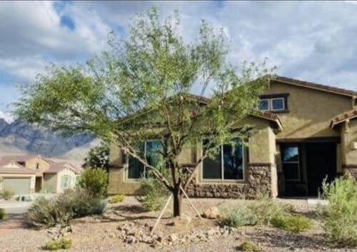 Tree restoration · Before & after — Arizona Landscaping photo gallery