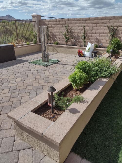 Project gallery — Arizona Landscaping photo gallery
