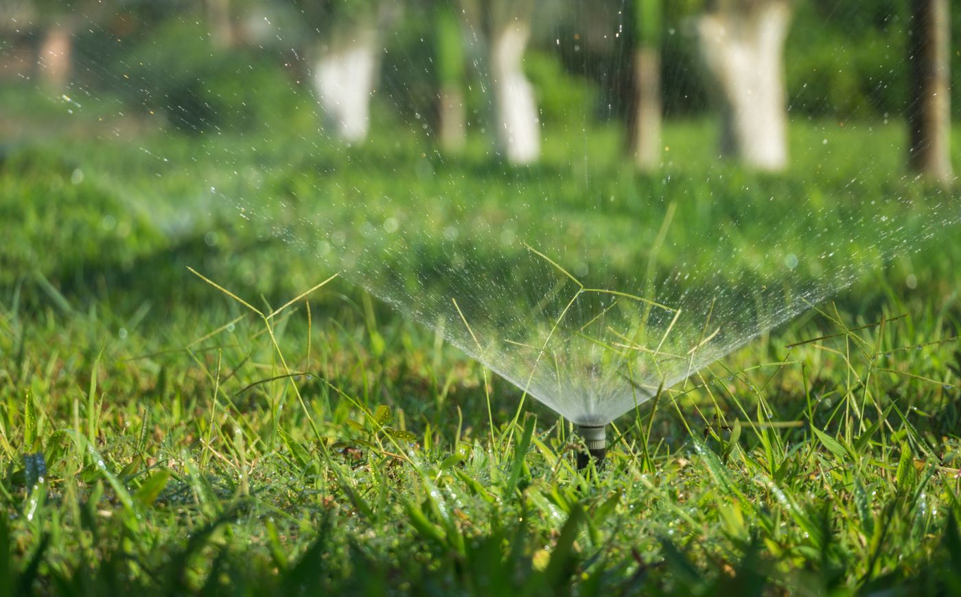 Sprinkler spraying water over natural grass