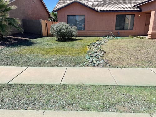Weed Removal and Control